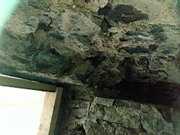 acastle 166220.jpg
